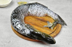 Вкуснейшие котлеты из щуки Вкуснейшие котлеты из щуки