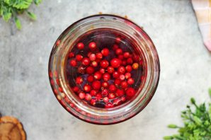 Наливки из ягод Наливки из ягод