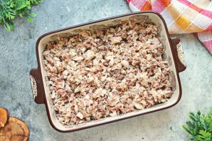 Студень Студень